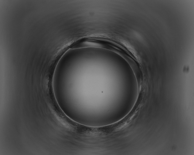 X0000091680201200708301526