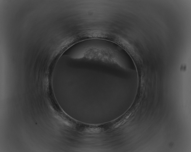 X0000091680202200708301526