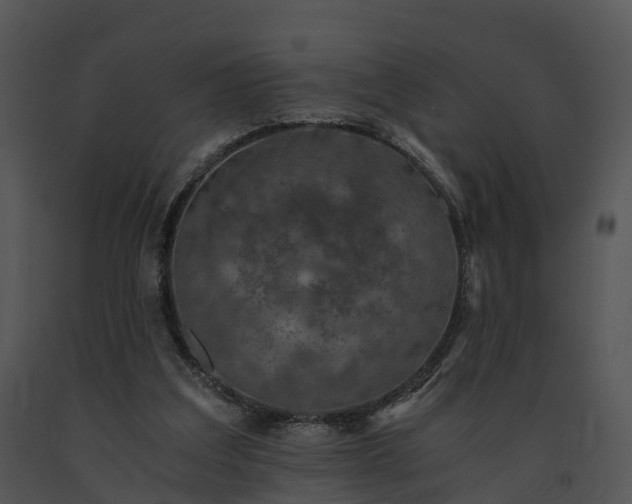 X0000091680203200708301526