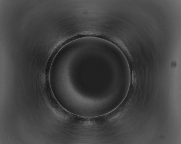 X0000091680204200708301526