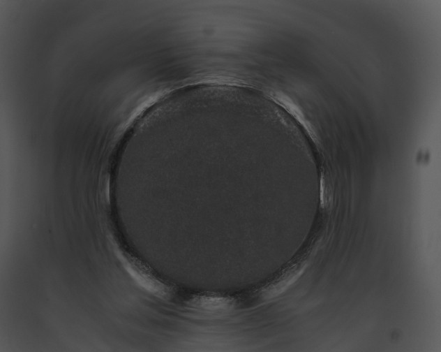 X0000091680205200708301526