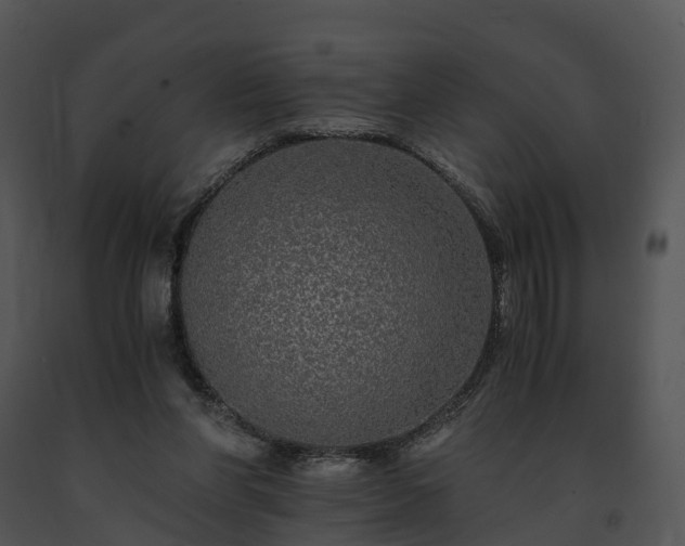 X0000091680206200708301526