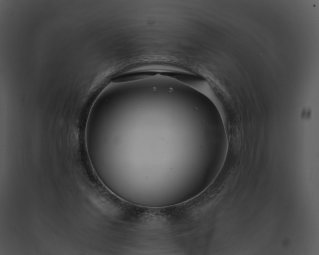 X0000091680207200708301526