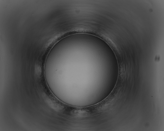 X0000091680208200708301526