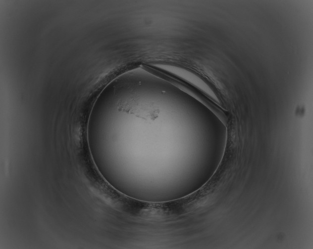 X0000091680211200708301526