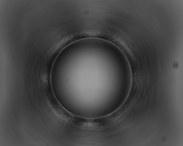 X0000091680212200708301526