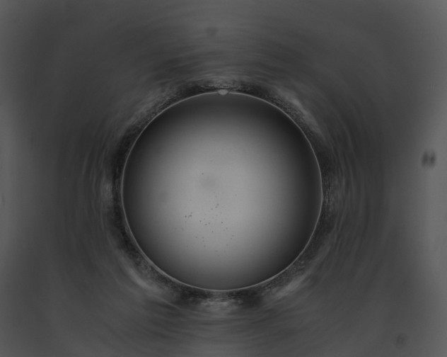 X0000091680213200708301526