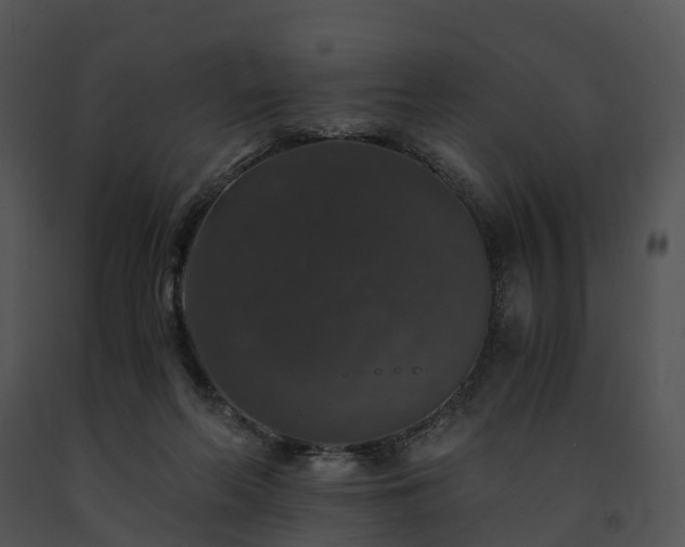 X0000091680214200708301526