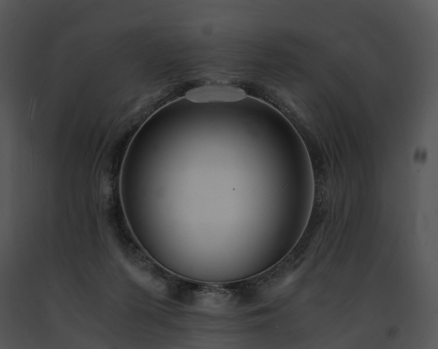 X0000091680215200708301526