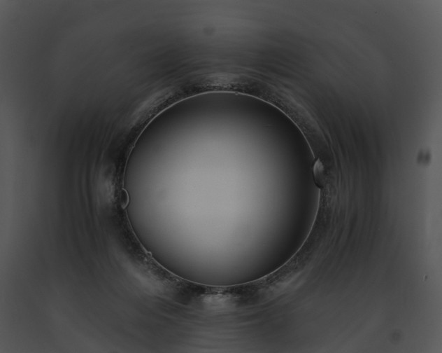 X0000091680216200708301526
