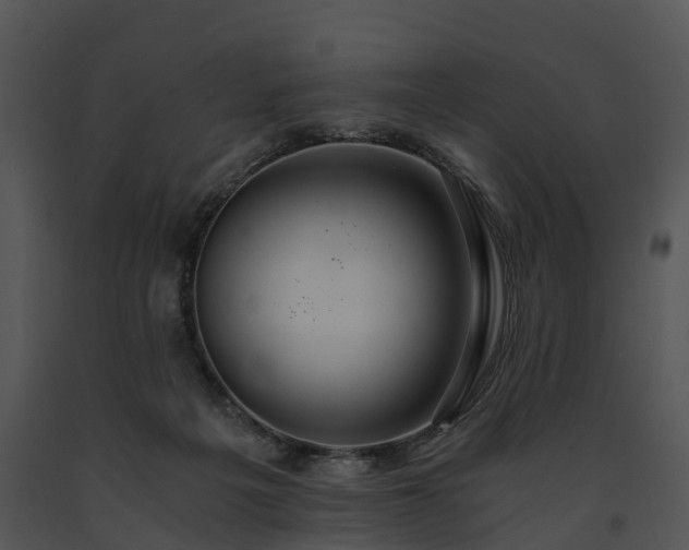 X0000091680217200708301526