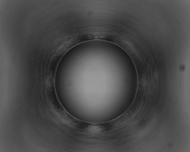 X0000091680218200708301526