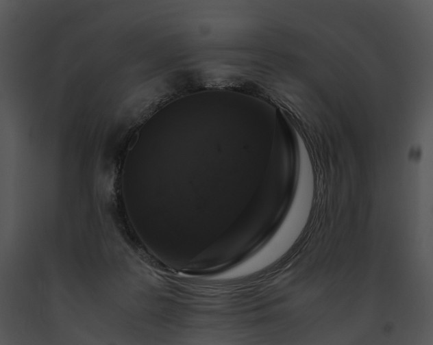 X0000091680219200708301526
