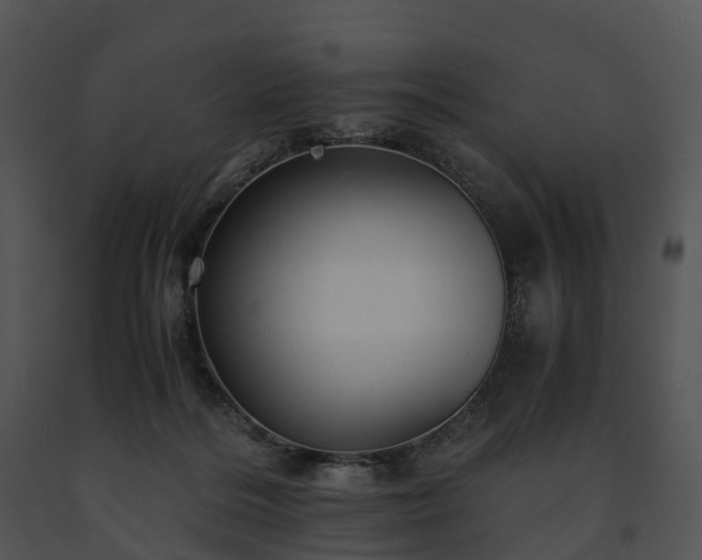 X0000091680220200708301526