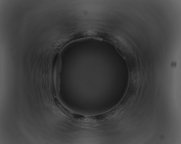 X0000091680223200708301526