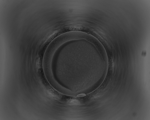 X0000091680224200708301526