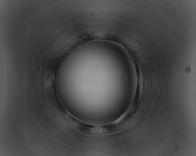 X0000091680225200708301526