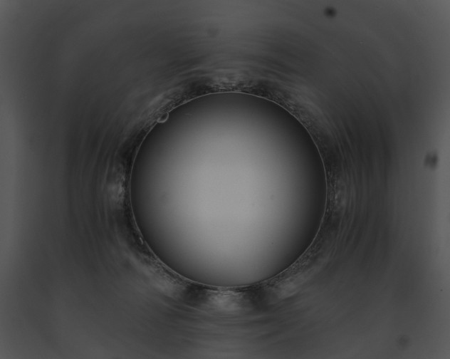 X0000091680226200708301526