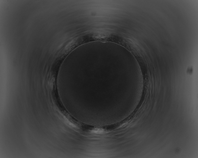 X0000091680227200708301526