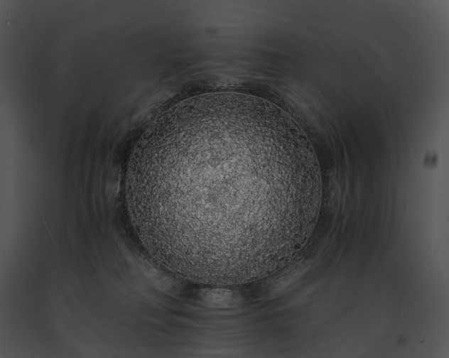 X0000091680230200708301526