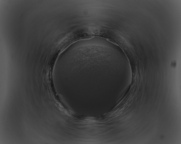 X0000091680233200708301526