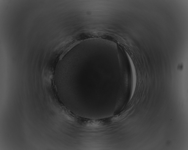 X0000091680235200708301526