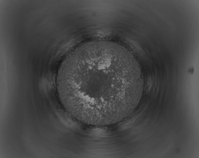 X0000091680236200708301526
