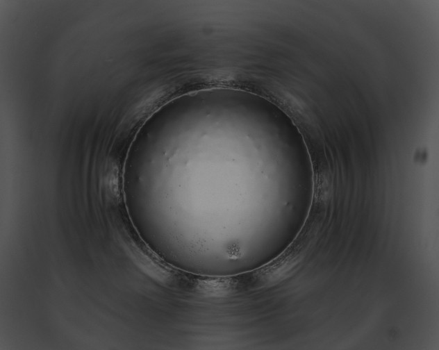 X0000091680238200708301526