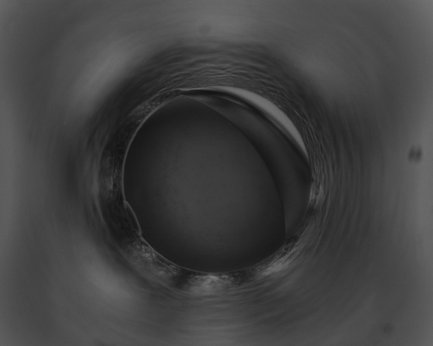X0000091680239200708301526