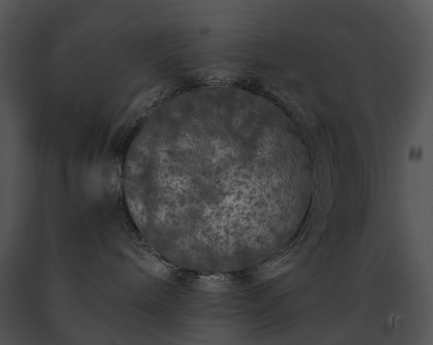 X0000091680240200708301526