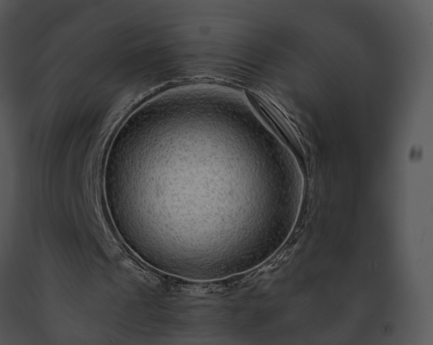 X0000091680241200708301525