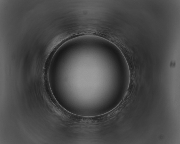 X0000091680242200708301525