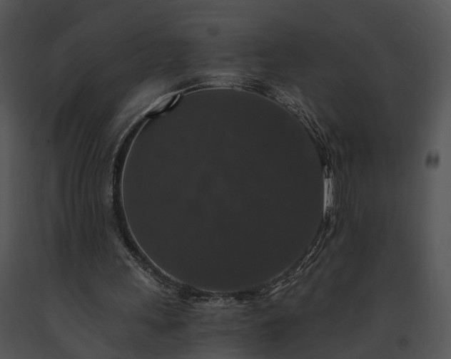 X0000091680243200708301525