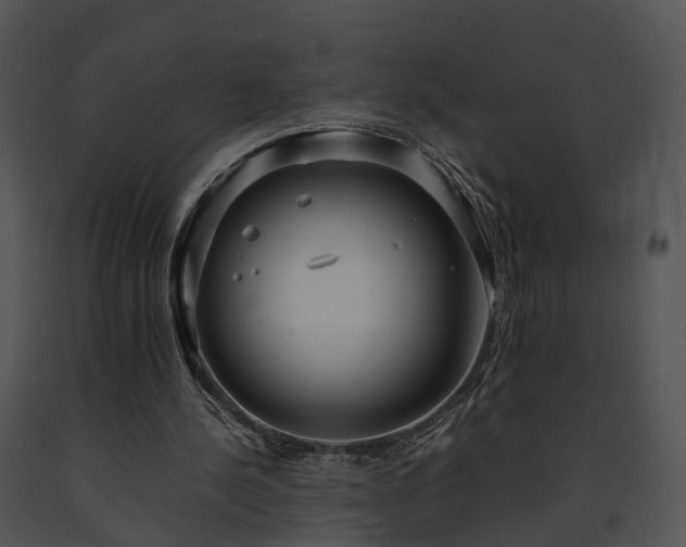 X0000091680244200708301525