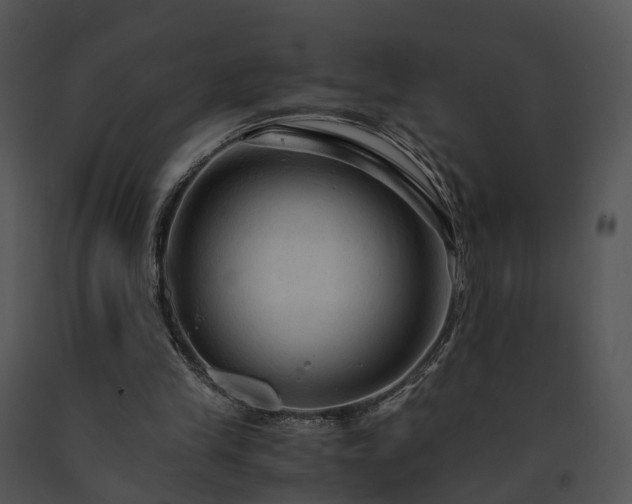 X0000091680245200708301525