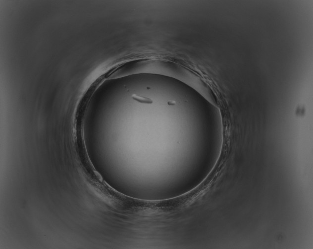 X0000091680246200708301525