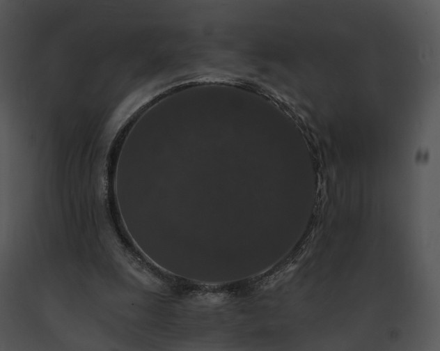 X0000091680247200708301525