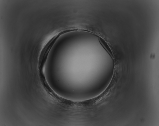 X0000091680248200708301525