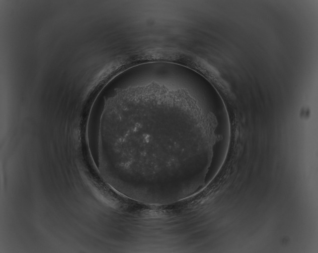 X0000091680250200708301526