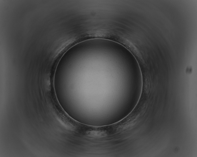 X0000091680251200708301526
