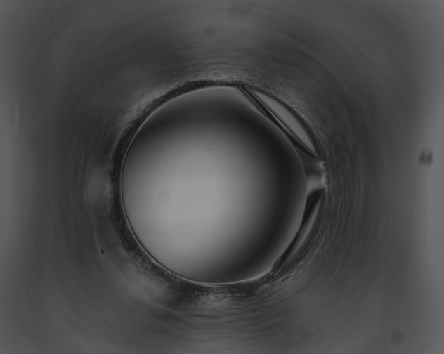 X0000091680252200708301526