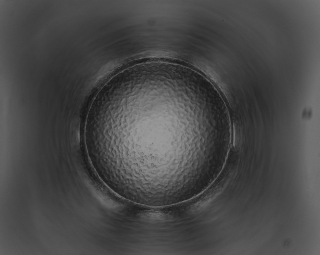 X0000091680253200708301526