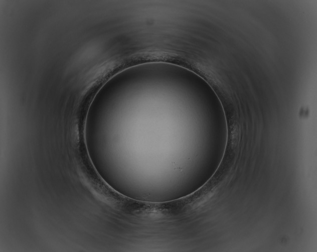 X0000091680254200708301526
