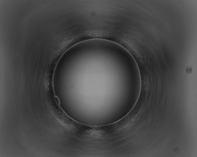 X0000091680255200708301526