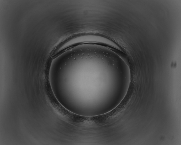 X0000091680256200708301526