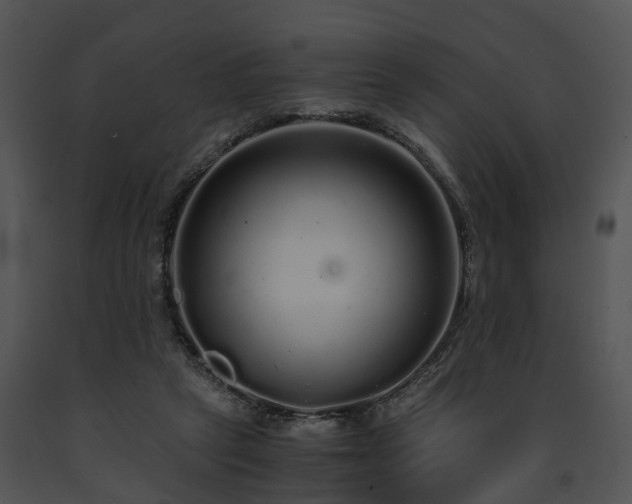 X0000091680257200708301526