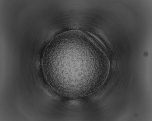 X0000091680259200708301526