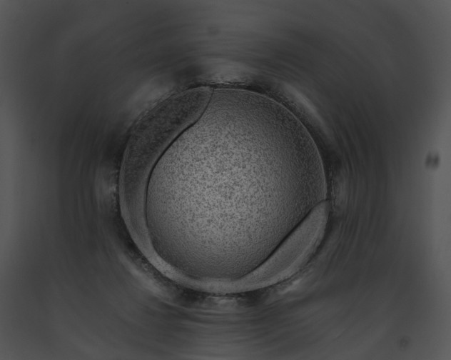 X0000091680260200708301526