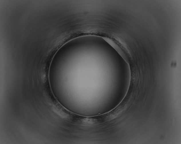 X0000091680261200708301526