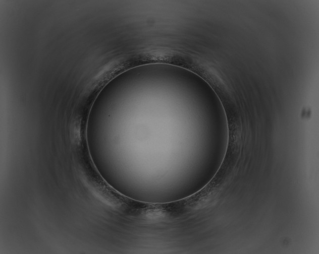 X0000091680262200708301526